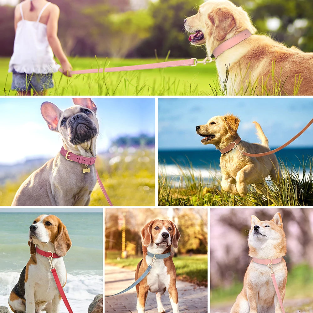 COLEIRA GUIA DE COURO