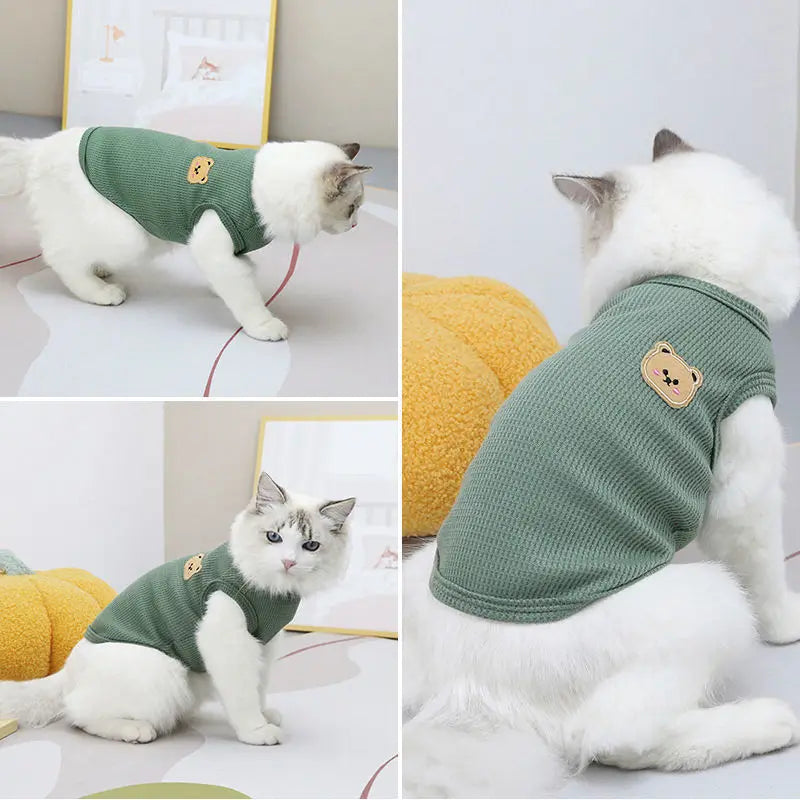 CAMISA DE URSO PARA GATOS