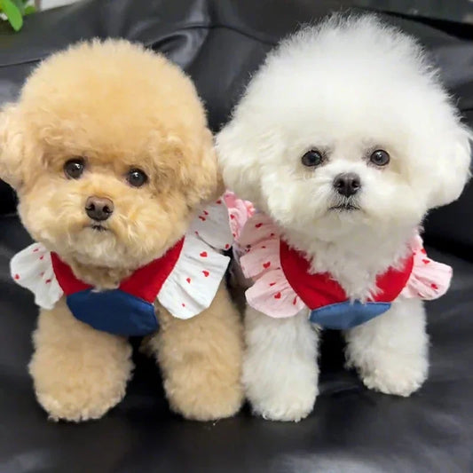 ROUPINHA DE FESTA JUNINA