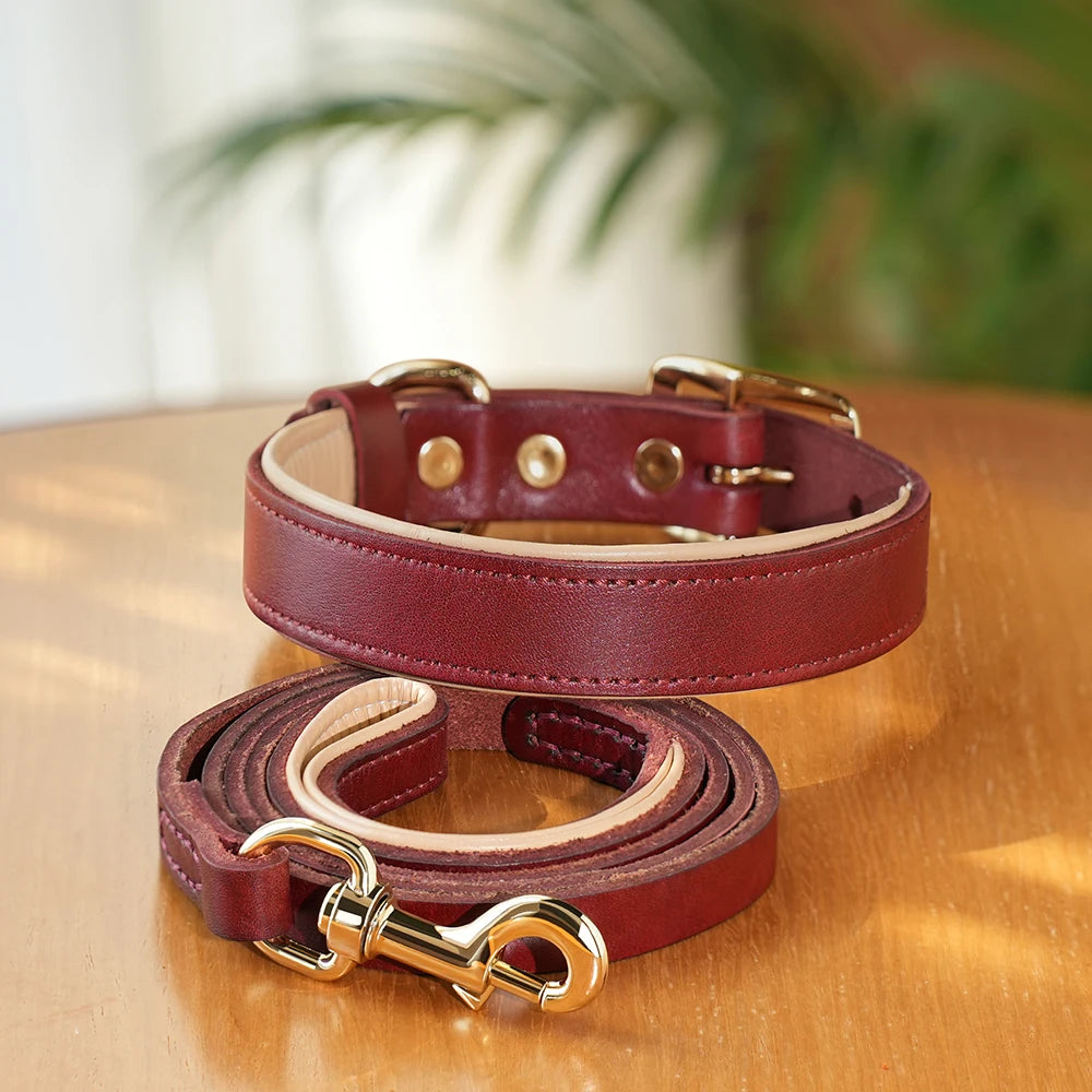 COLEIRA E GUIA DE COURO REAL