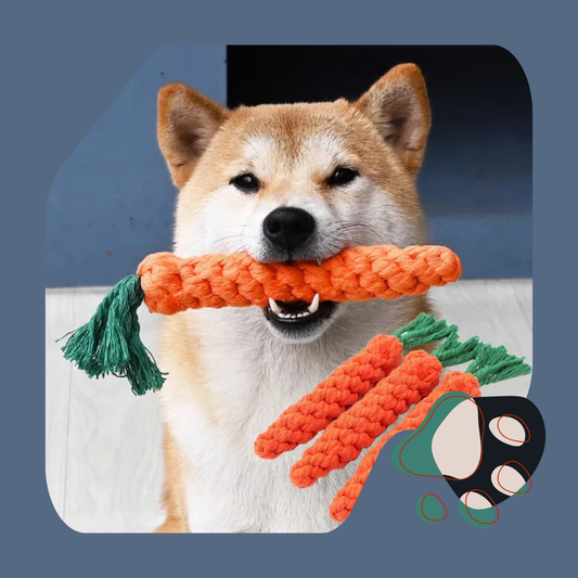 BRINQUEDO CORDA CENOURA PARA CÃES