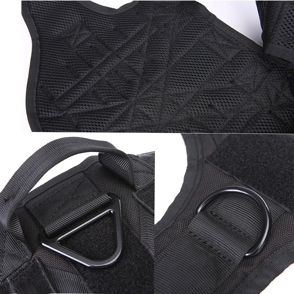 COLEIRA GRANDE PARA CÃES - CONJUNTO DE ARNÊS E COLEIRA