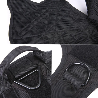 COLEIRA GRANDE PARA CÃES - CONJUNTO DE ARNÊS E COLEIRA