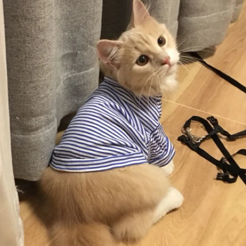 CAMISA DE ALGODÃO PARA GATOS