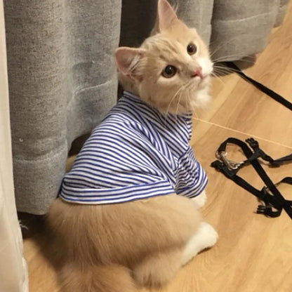CAMISA DE ALGODÃO PARA GATOS