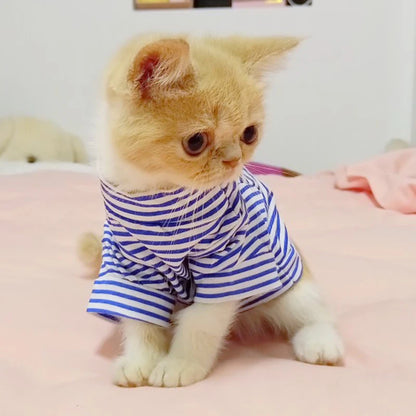 CAMISA DE ALGODÃO PARA GATOS