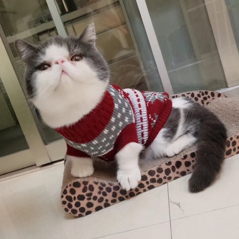 SUÉTER DE INVERNO PARA GATOS