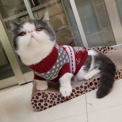 SUÉTER DE INVERNO PARA GATOS