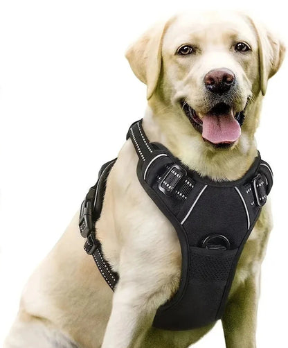 COLEIRA DOG BIG HARNESS