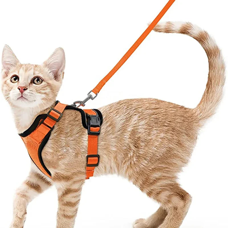 COLEIRA CAT HARNESS