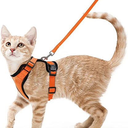 COLEIRA CAT HARNESS