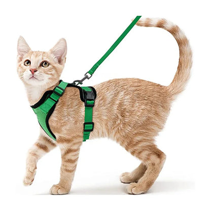 COLEIRA CAT HARNESS