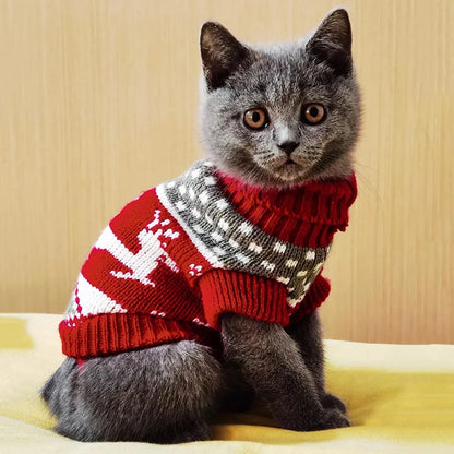 SUÉTER DE INVERNO PARA GATOS