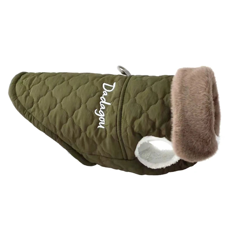 CASACO DE FLEECE PET