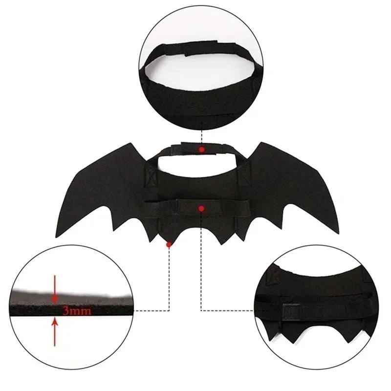 BATCAT