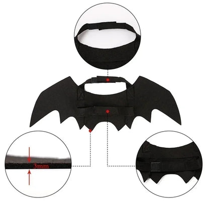 BATCAT