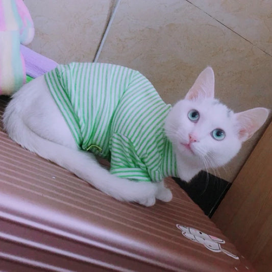 CAMISA DE ALGODÃO PARA GATOS