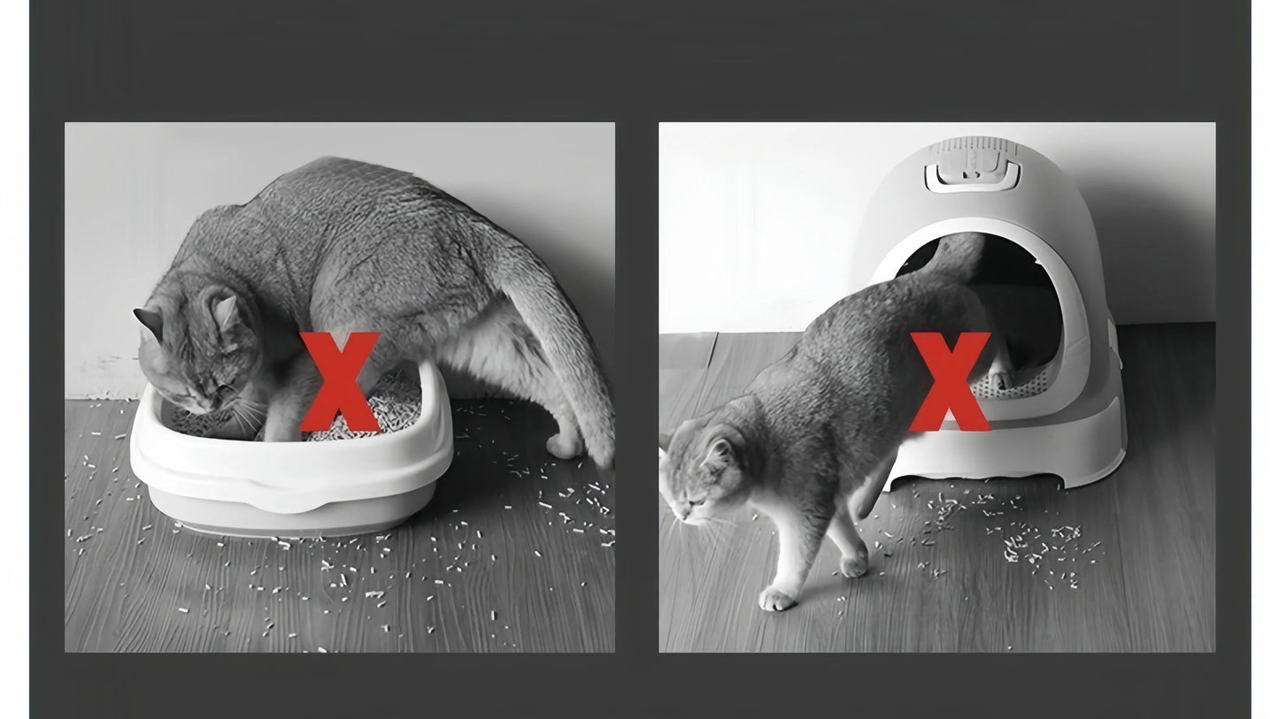 TAPETE HIGIÊNICO DUPLO A PROVA D'ÁGUA