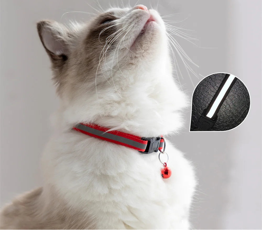 COLEIRA REFLETIVA COM GUIZO PARA GATOS E CÃES PEQUENOS