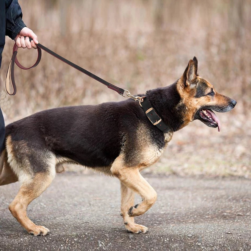 COLEIRA E GUIA DE COURO REAL