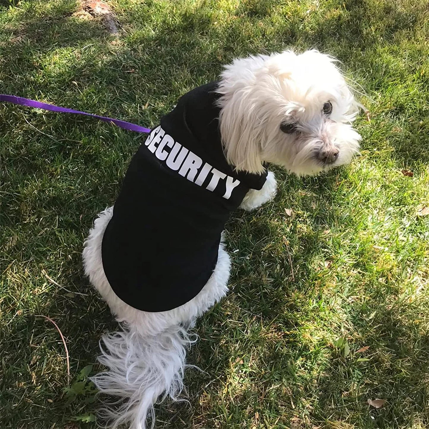 CAMISA PET SECURITY