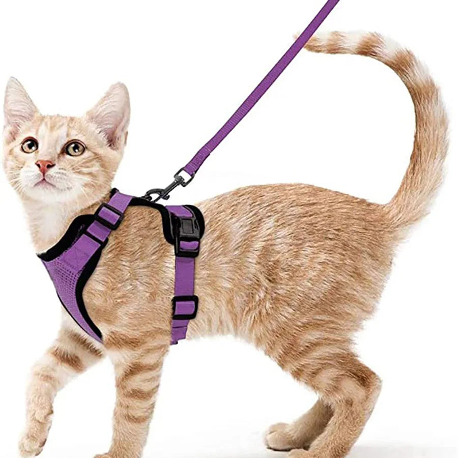 COLEIRA CAT HARNESS