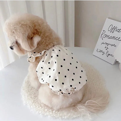 VESTIDO PET CUTE DOG