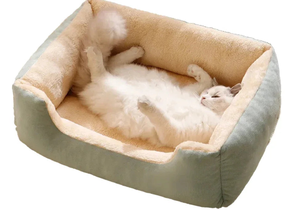 CAMA SUPER MACIA PET