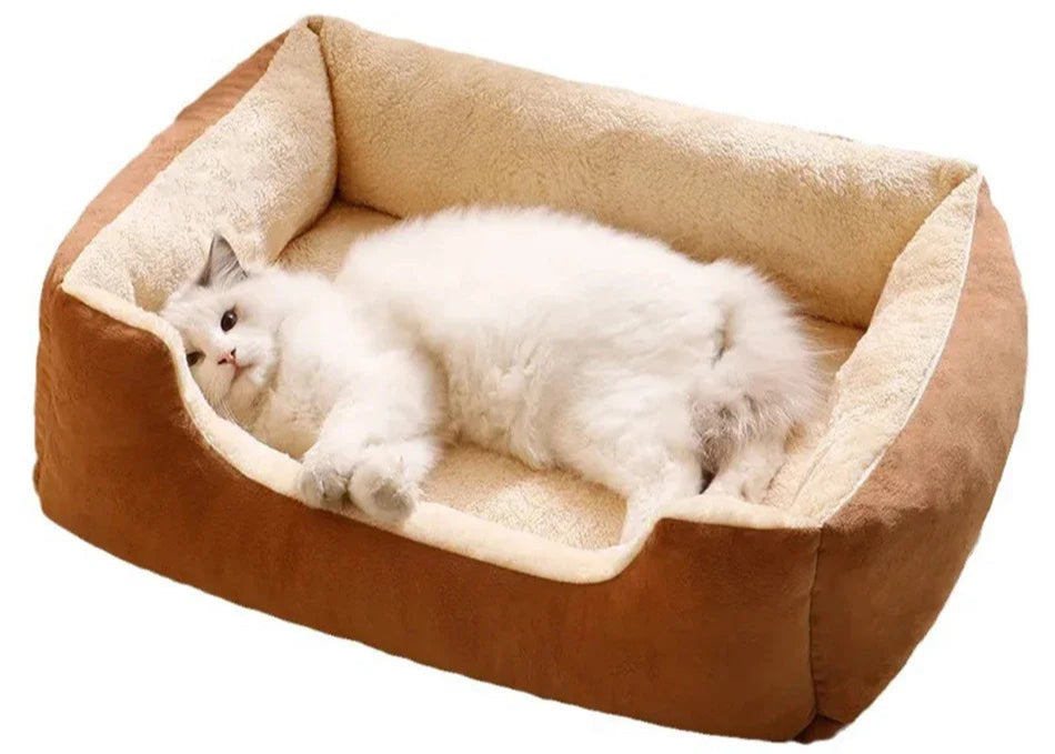 CAMA SUPER MACIA PET