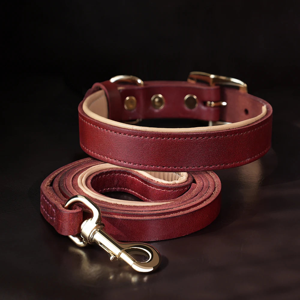 COLEIRA E GUIA DE COURO REAL