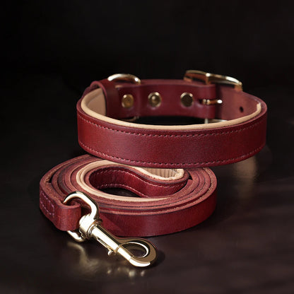 COLEIRA E GUIA DE COURO REAL