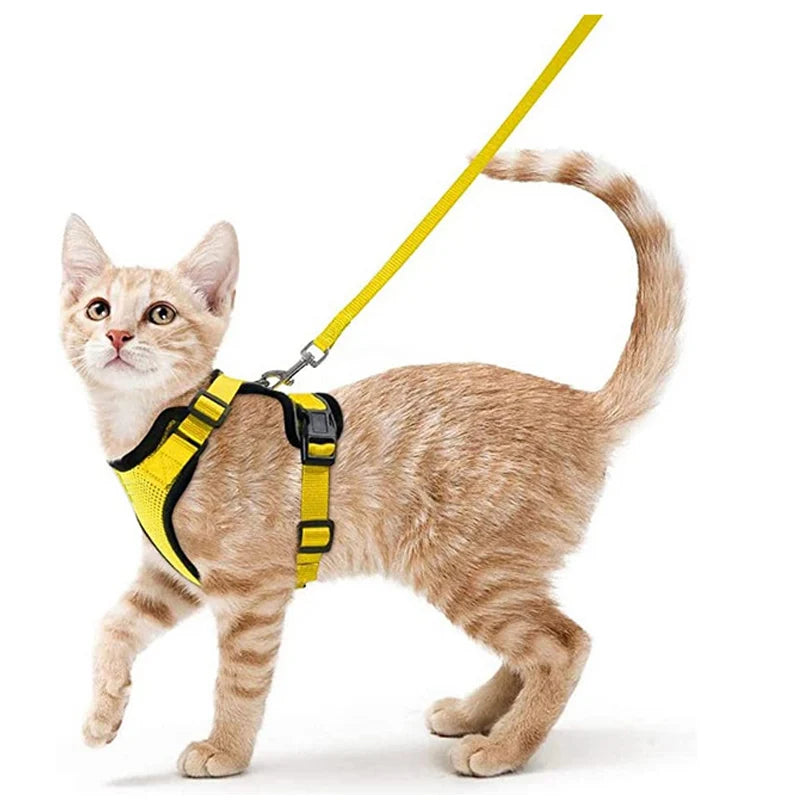 COLEIRA CAT HARNESS