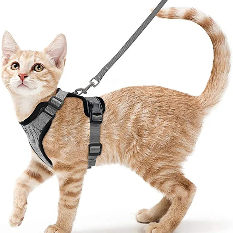COLEIRA CAT HARNESS