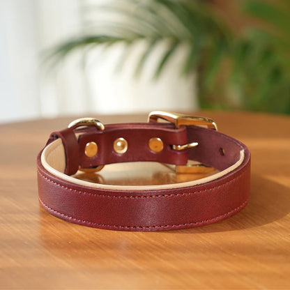 COLEIRA E GUIA DE COURO REAL