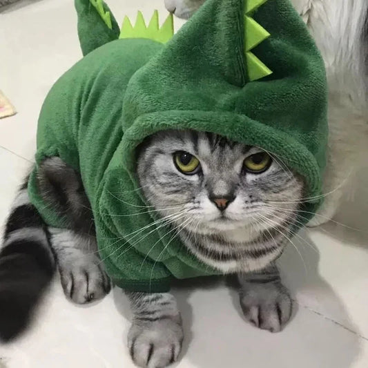 DINO CAT