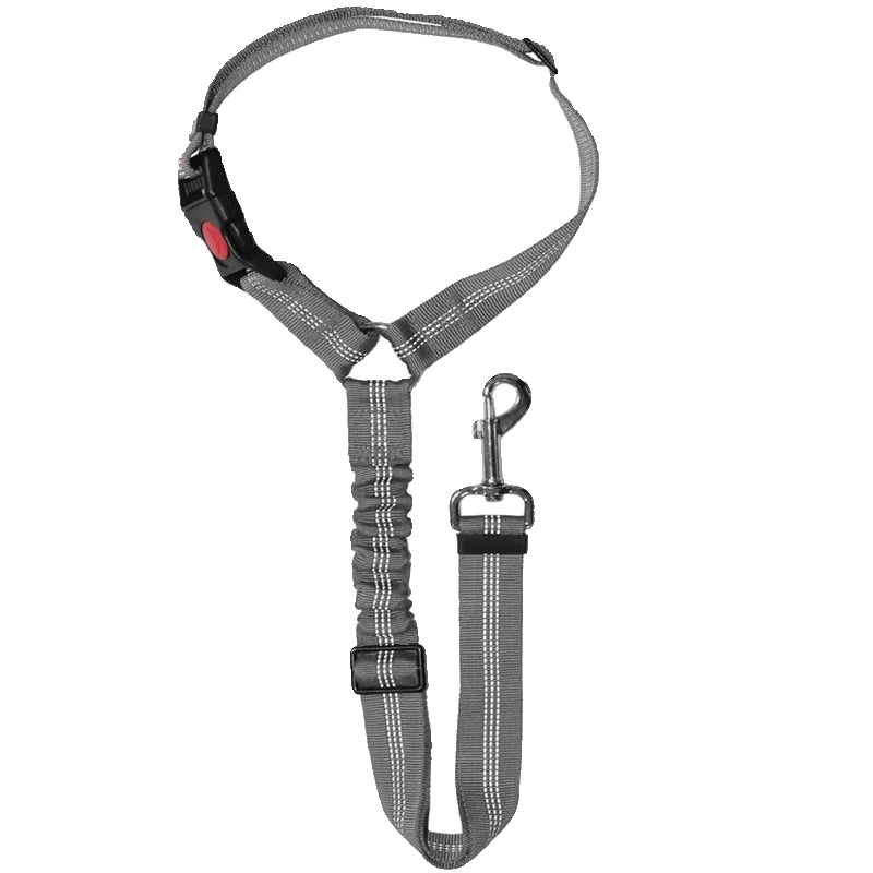 CINTO DE SEGURANÇA PET