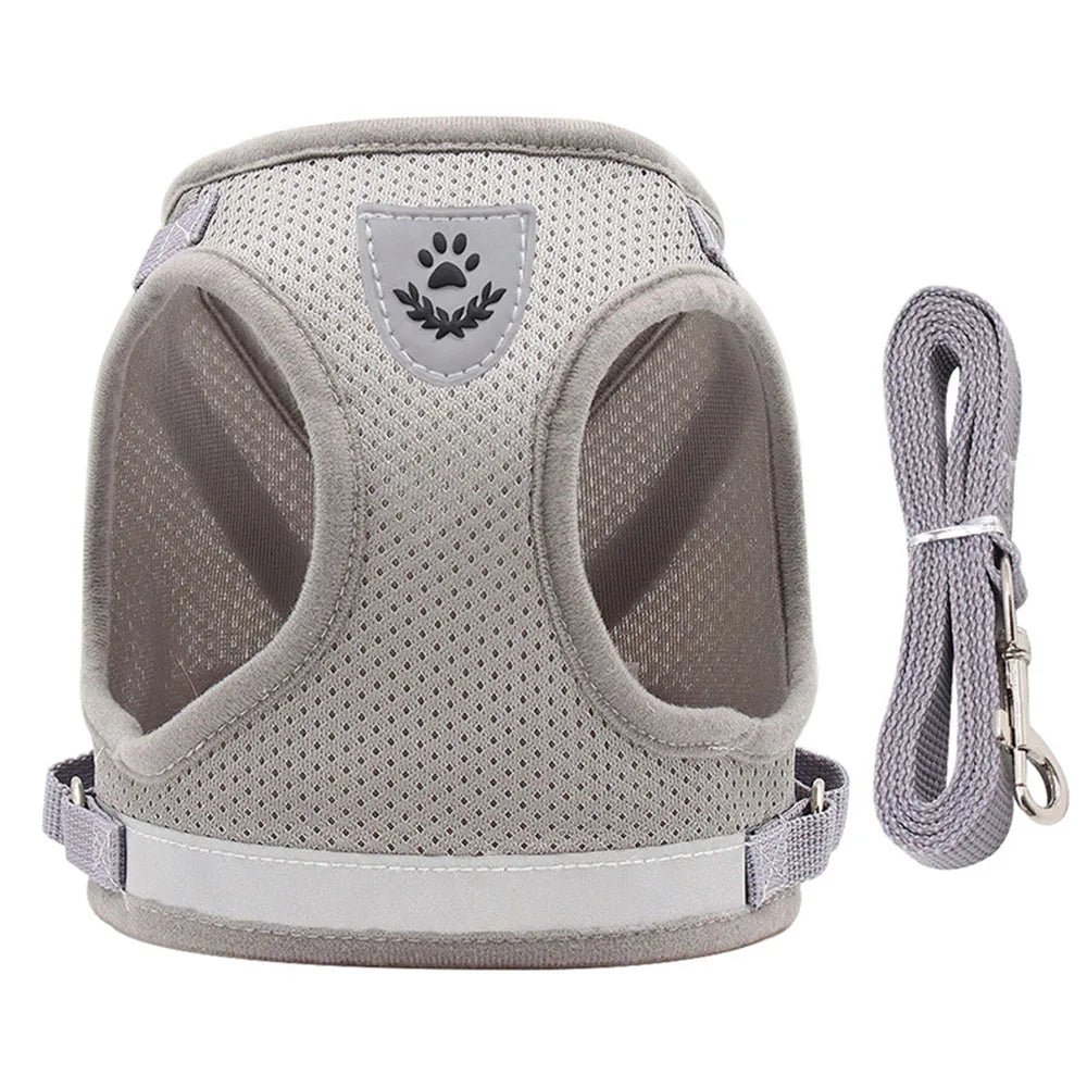 COLEIRA E COLETE PARA GATOS E CÃES