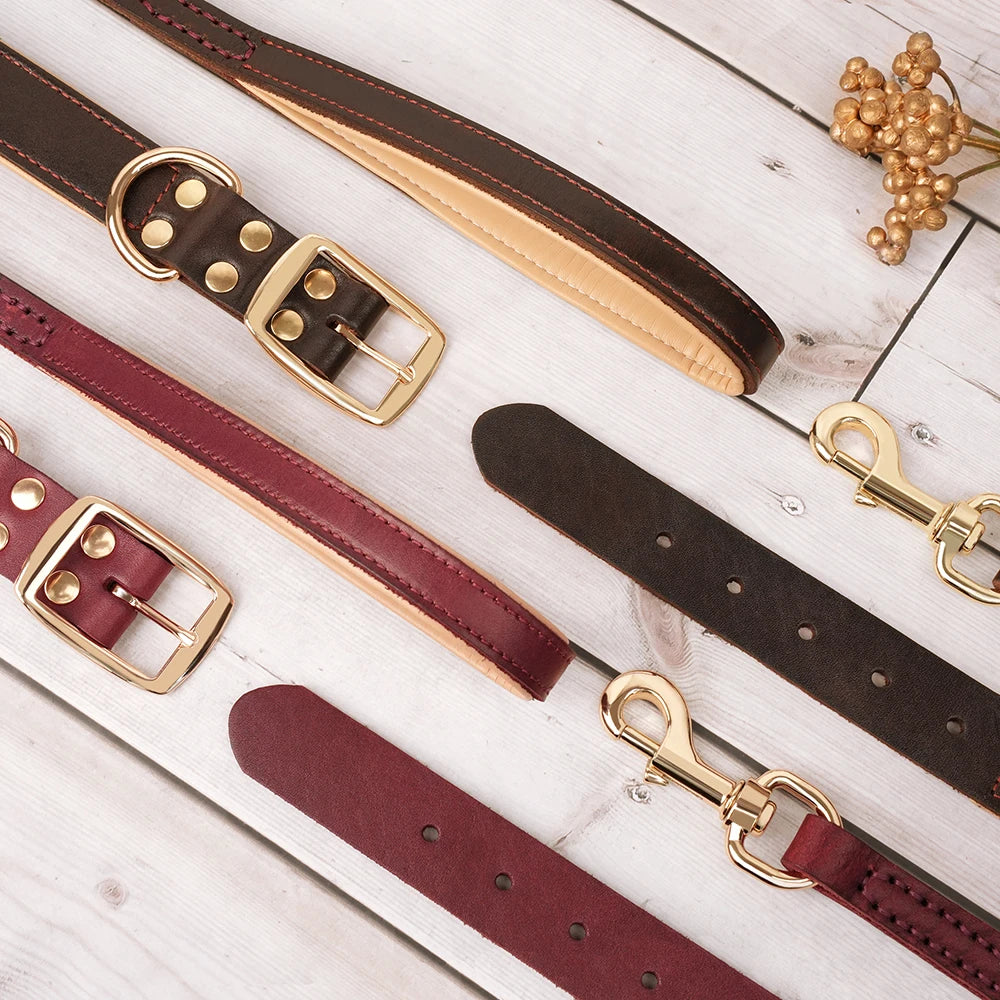 COLEIRA E GUIA DE COURO REAL