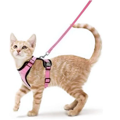 COLEIRA CAT HARNESS