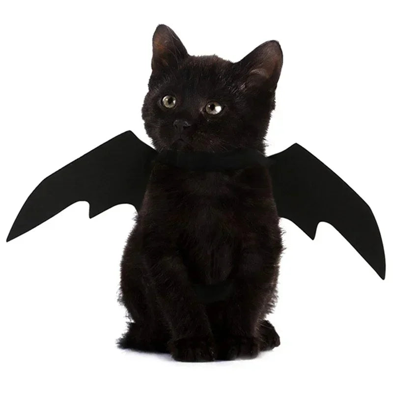 BATCAT