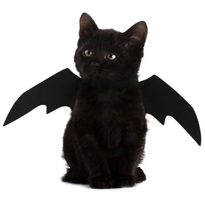 BATCAT