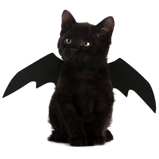 BATCAT