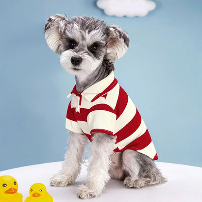 CAMISA POLO PET