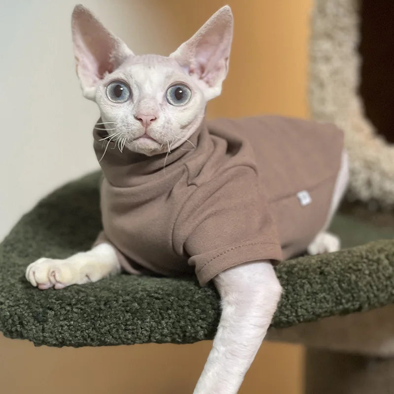 CAMISA BASIC GATOS