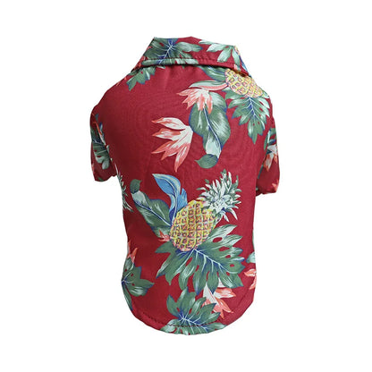 CAMISA HAVAIANA PET