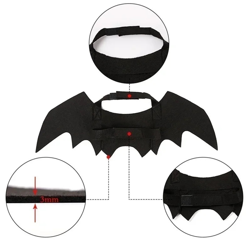 BATCAT