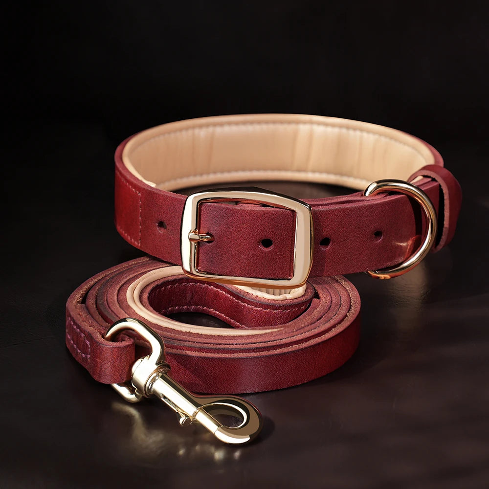 COLEIRA E GUIA DE COURO REAL