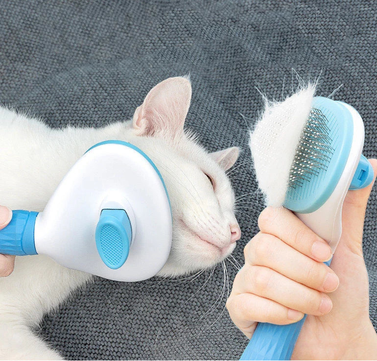 PENTE REMOVEDOR DE PELOS