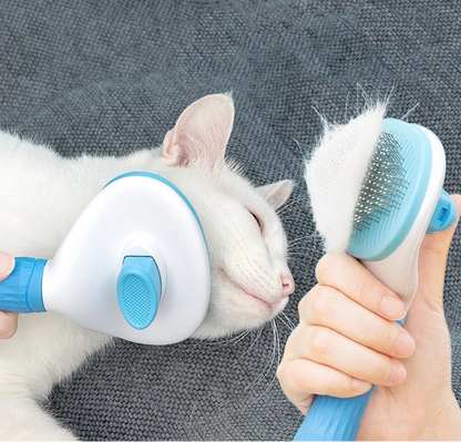 PENTE REMOVEDOR DE PELOS