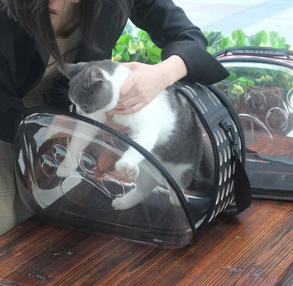 BOLSA DE TRANSPORTE DOBRÁVEL TRANSPARENTE